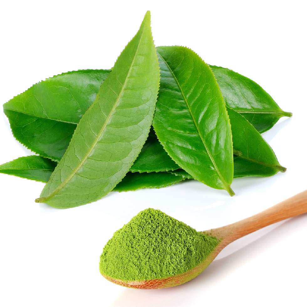 TÉ VERDE